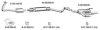 EBERSP?CHER 082449 Exhaust System